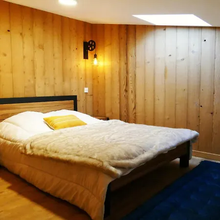 Duplex Renove, 12 Pers, Balcon Plein Sud, Au Pied Des Pistes - Les 2 Alpes - Fr-1-546-50 Apartment Les Deux Alpes