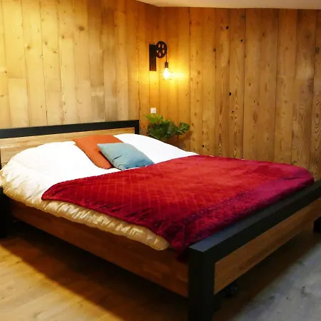 Duplex Renove, 12 Pers, Balcon Plein Sud, Au Pied Des Pistes - Les 2 Alpes - Fr-1-546-50 Apartment